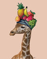 Image Not Available